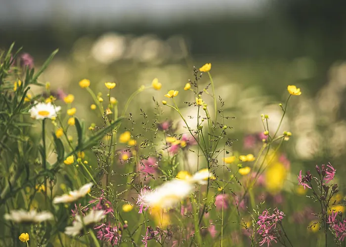 Appartement Fischbachhof Sulzbach an der Murr