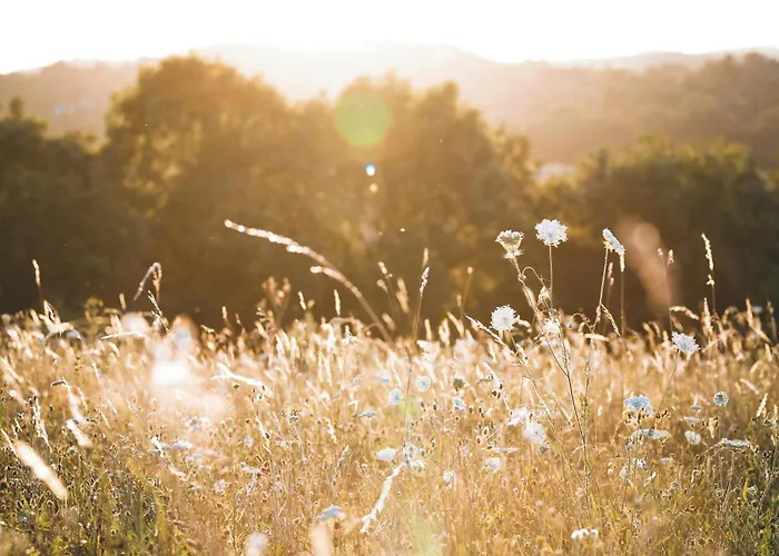 Appartement Fischbachhof *